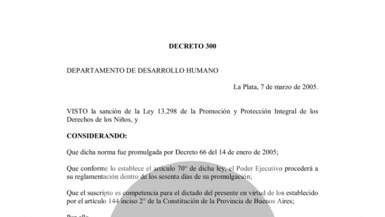 Decreto 300/05: Reglamenta Ley 13.298/04